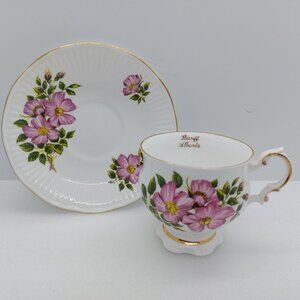 Vintage Elizabethan Tea Cup And Saucer Canadian Provincial Flower Banff Alberta